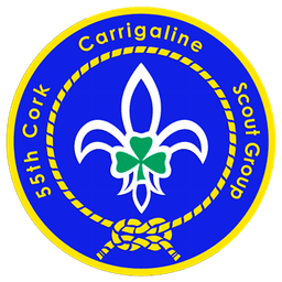 55th Cork emblem